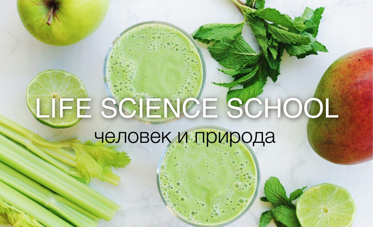 Школа личность лайф