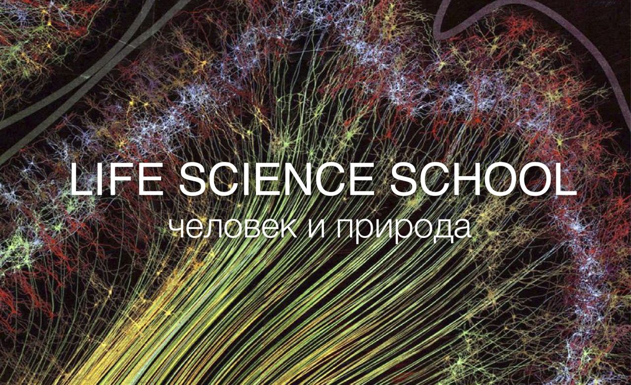 Школа личность лайф