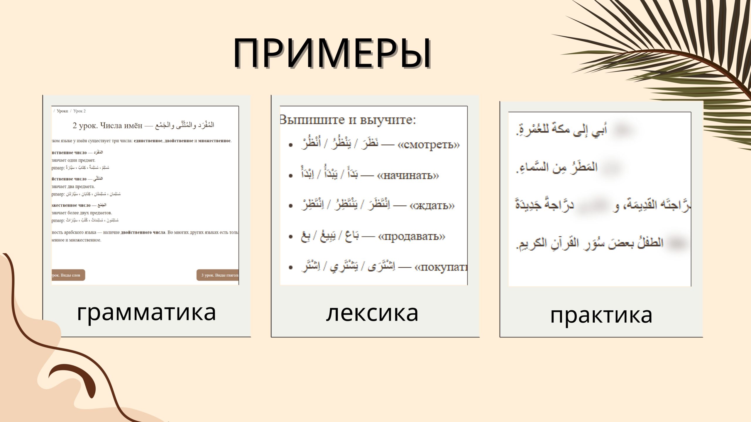Коробочный образовательный комплект "Jamalik" Джабаева Рашана, Рассудова Полина, Баракат Радуан